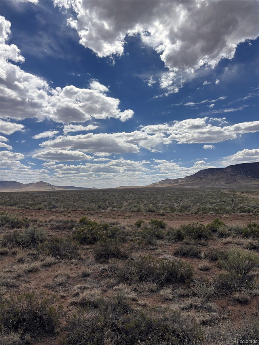 Image 4 Image 4