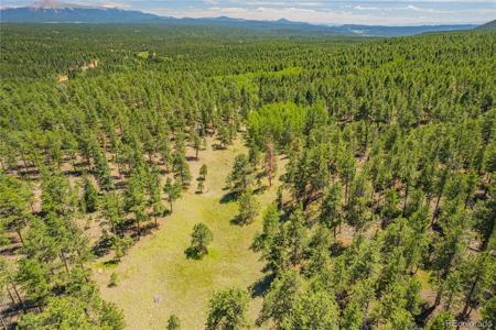 Lot 2 County Road 51