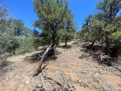 TR-142 17th Trail