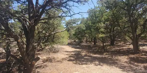 Image 3 Image 3