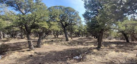 Lot 7274 Barker Road