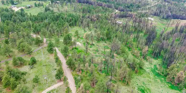 Image 3: Large 5.39 acre lot. Image 3: Large 5.39 acre lot.