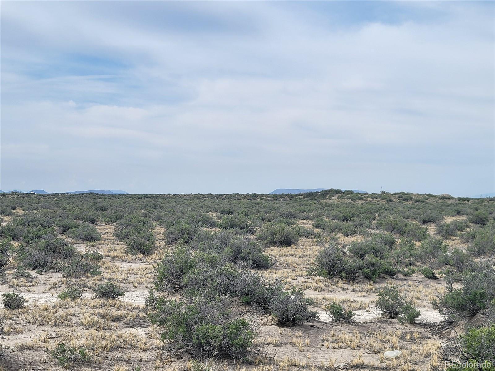 Image 4 Image 4