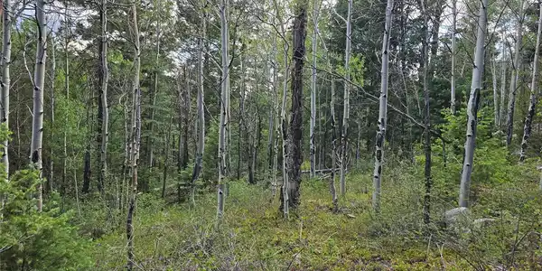 Image 2 Image 2