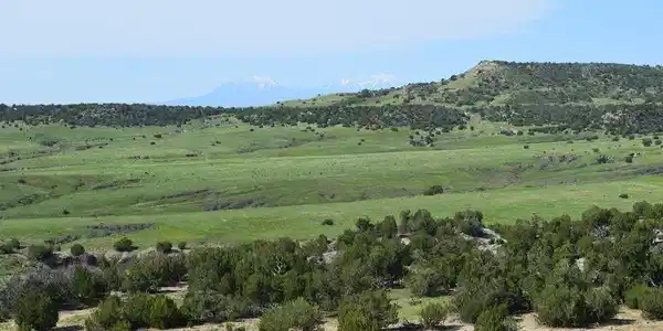Image 3 Image 3