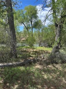 Lot 109 Alamosa River Estates