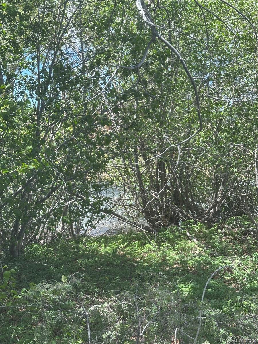 Image 4 Image 4