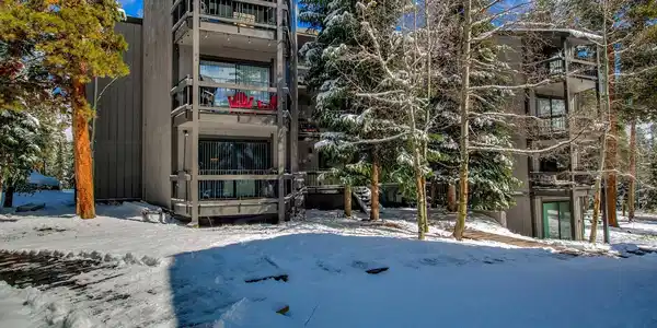 Image 2: Gold Camp feels tucked away in the woods, yet is minutes from all the fun in-town!