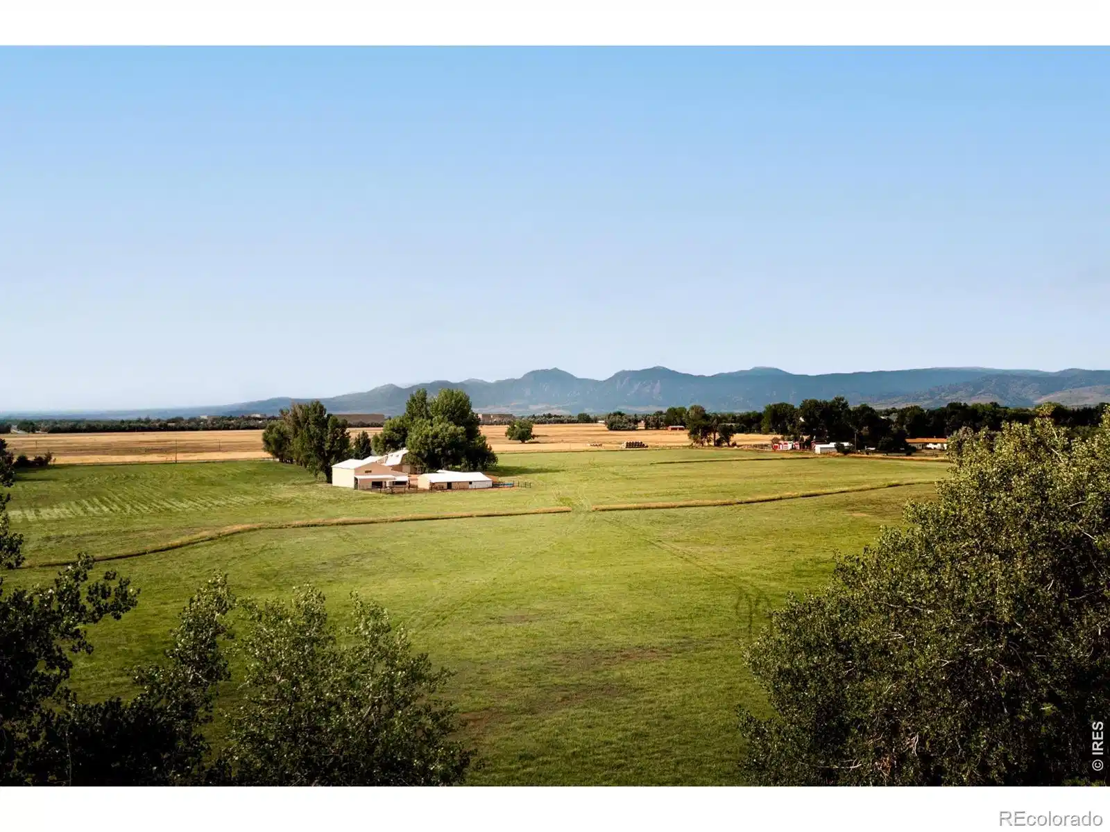Image 1: Welcome to 6789 Niwot Road! Image 1: Welcome to 6789 Niwot Road!