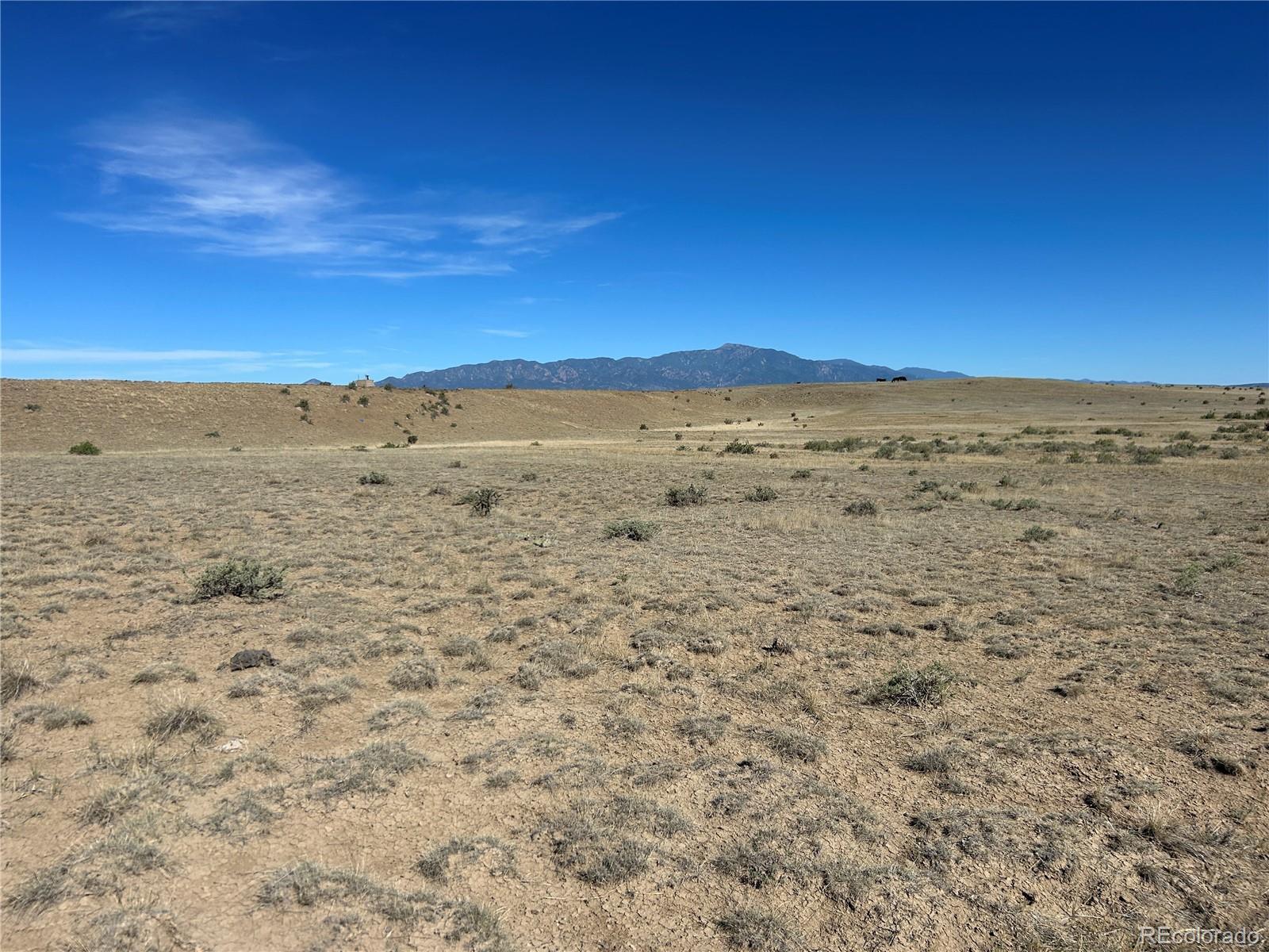 Image 3 Image 3