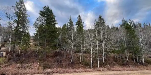 574 Overlook Drive
