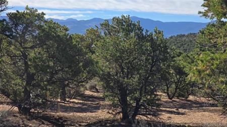 Lot 3873 Shinn Road