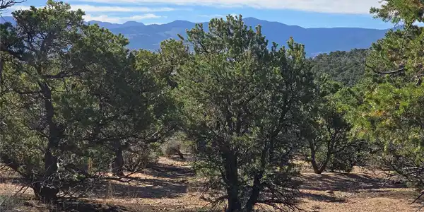 Lot 3873 Shinn Road
