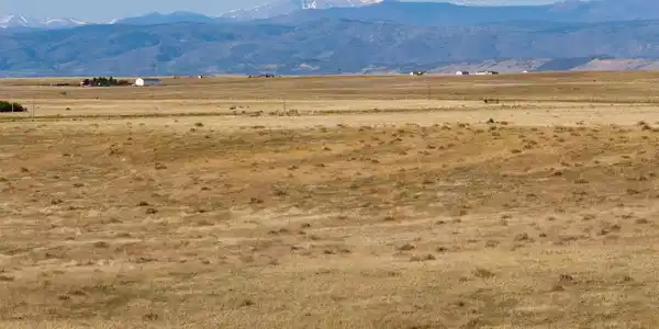 0 CR 7
