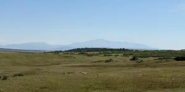 TBD S State Highway 83 - 140 Acres