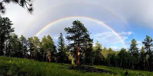Image 2: Life here can be sunshine and rainbows Image 2: Life here can be sunshine and rainbows