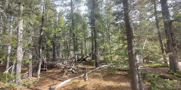 Image 4 Image 4