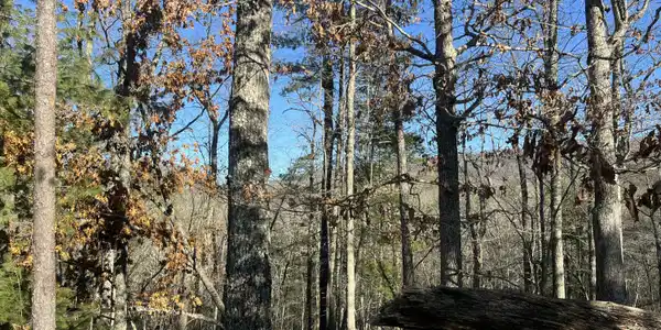 Lot 45 Black Diamond DR