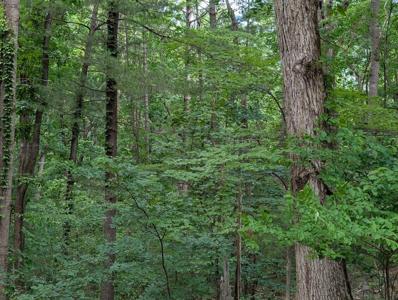 Lot #17 Bousman CIR