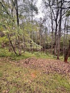 Lot #53 Old Mill DR
