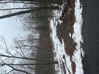 Lot #2 Timber Trail LN