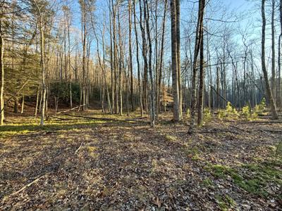 Lot #4-8 Dicks Creek RD