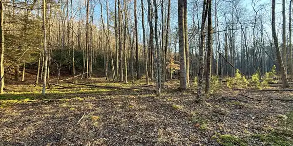 Lot #4-8 Dicks Creek RD