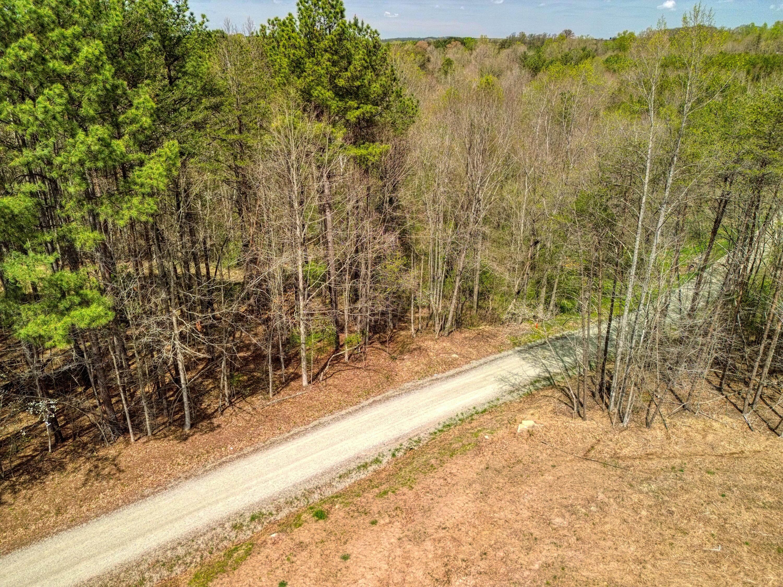 Image 2: dji_fly_20260403_124228_487_177523458584