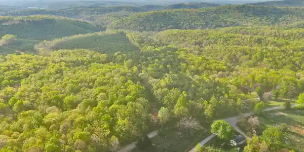 Lot #1 Roach RD