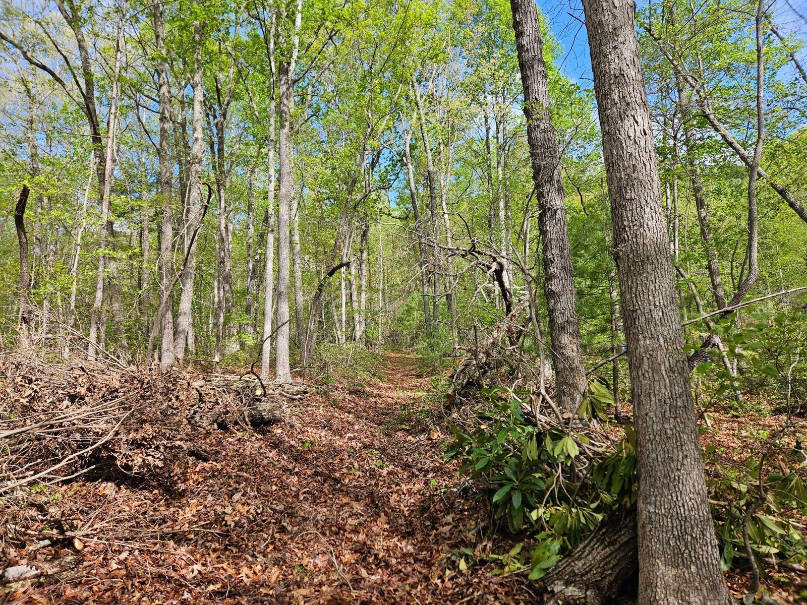 Image 2: 9.0576 Acres
