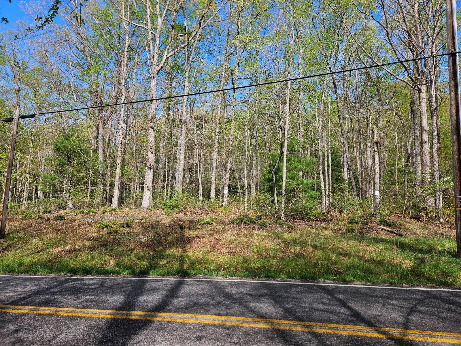 Image 3: road view
