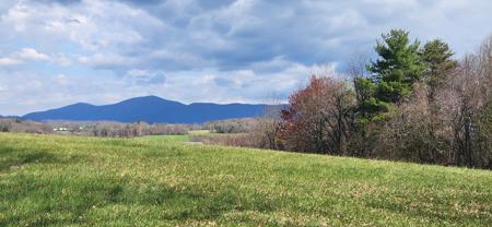 Lot 1 Callaway RD