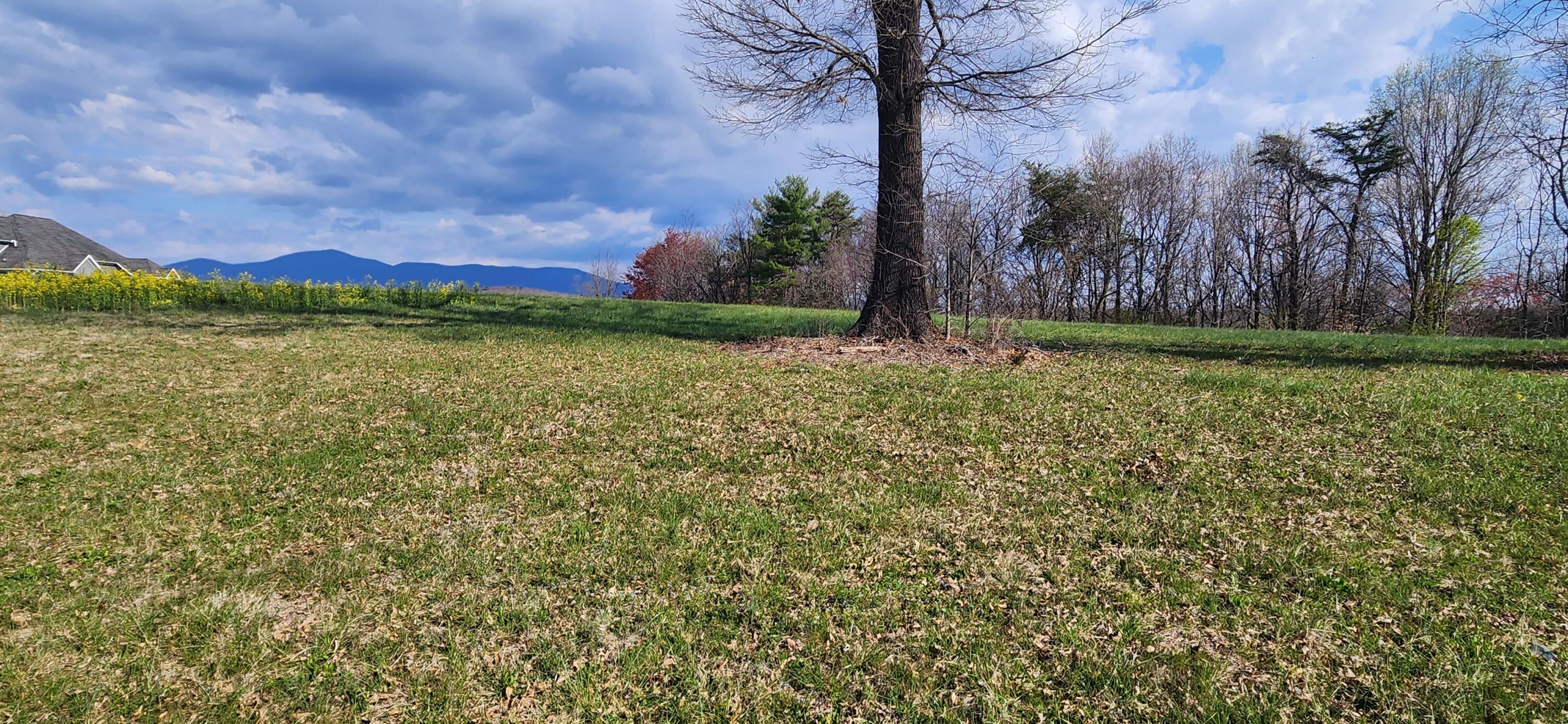 Image 2: Lot 1 (1)