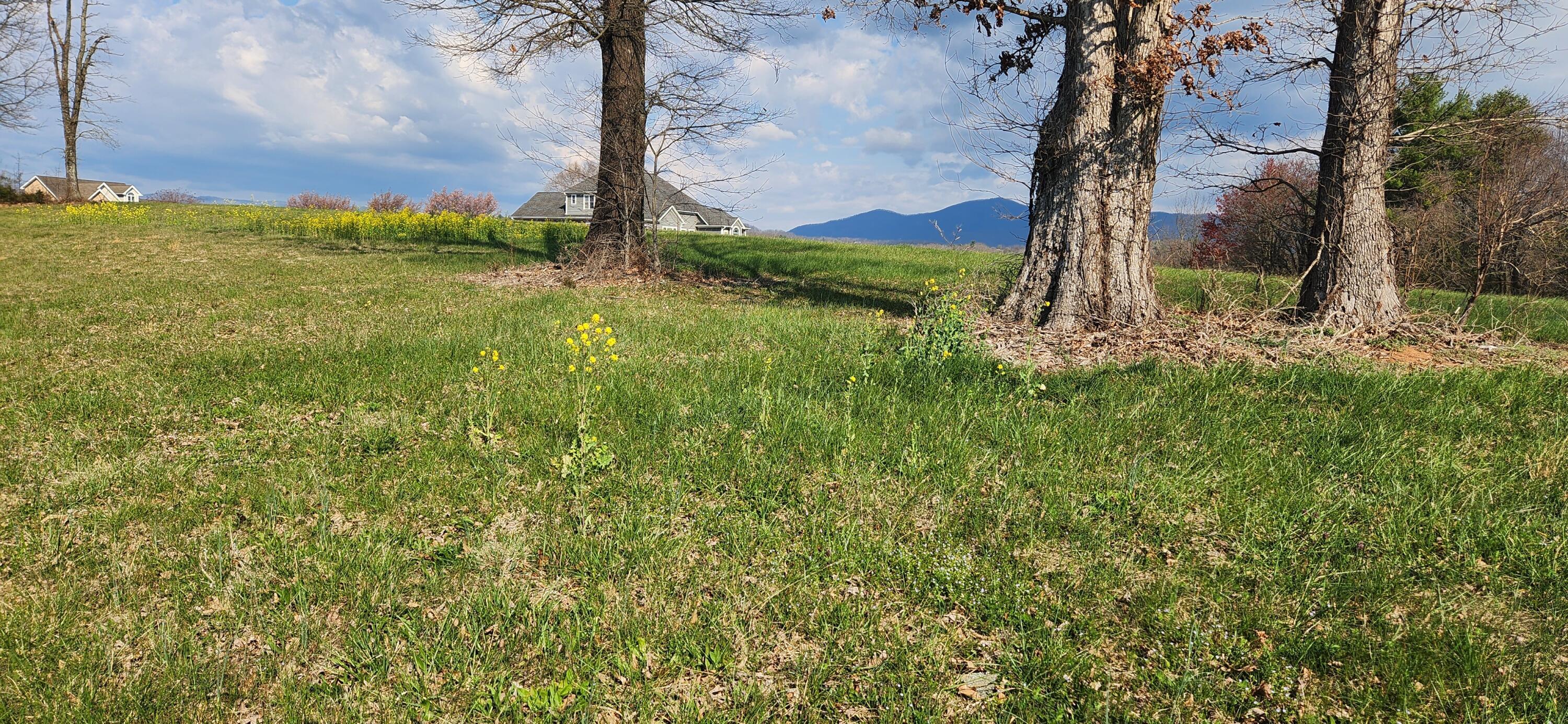 Image 3: Lot 1 (2)