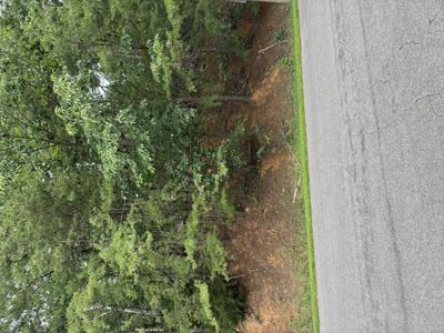 Lot #11 Cherokee Hills DR