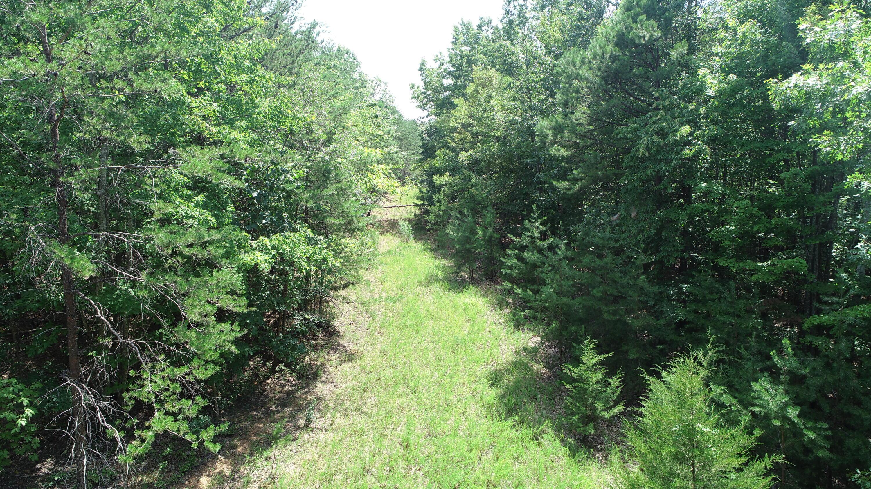 Image 3: Road Through Property