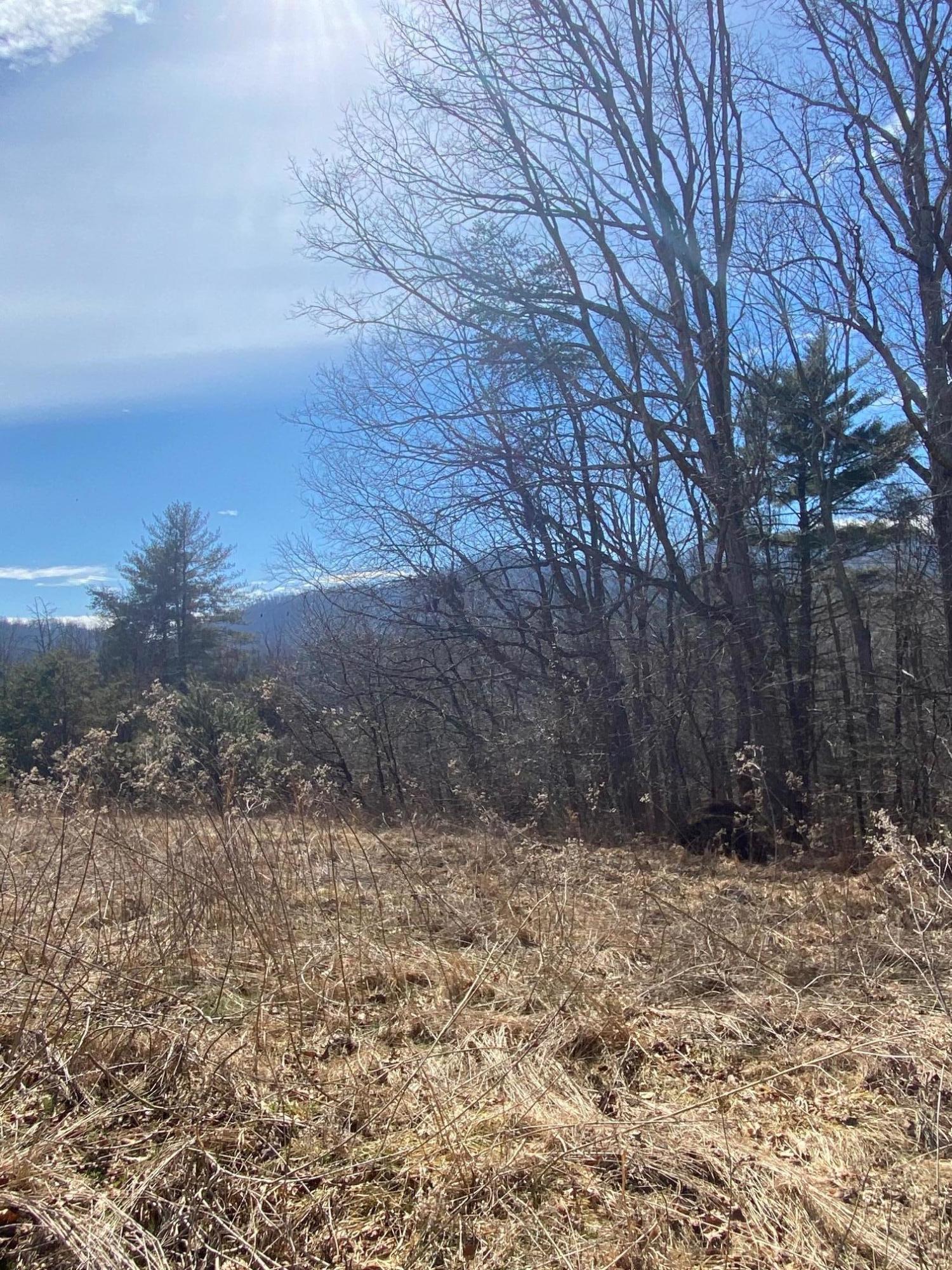 Image 2: Lot 28 Road side