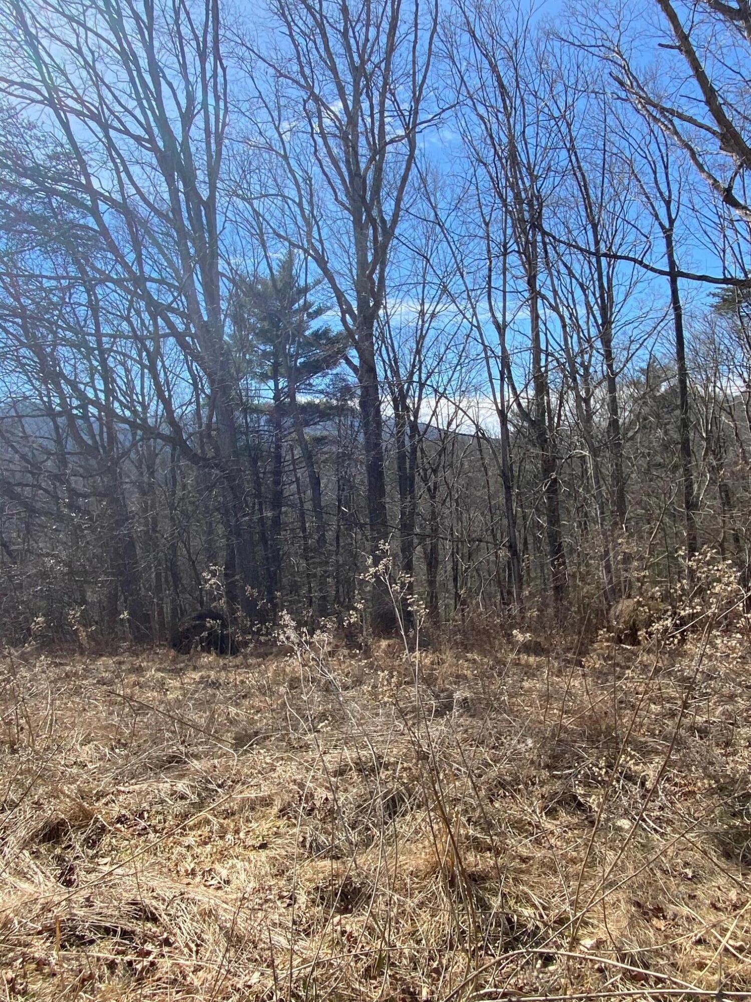 Image 3: Lot 28 looking from River Rock