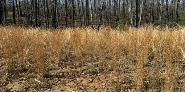 Lot 6A Navajo CIR