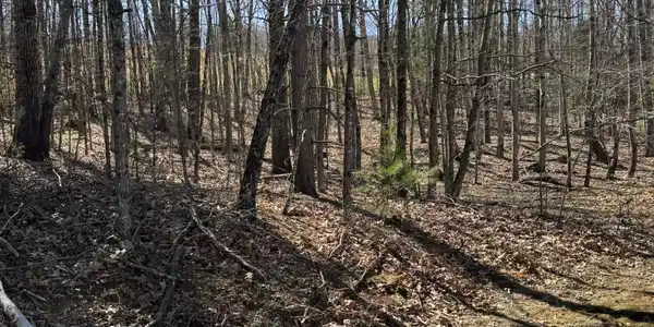 Lot 10A Navajo CIR
