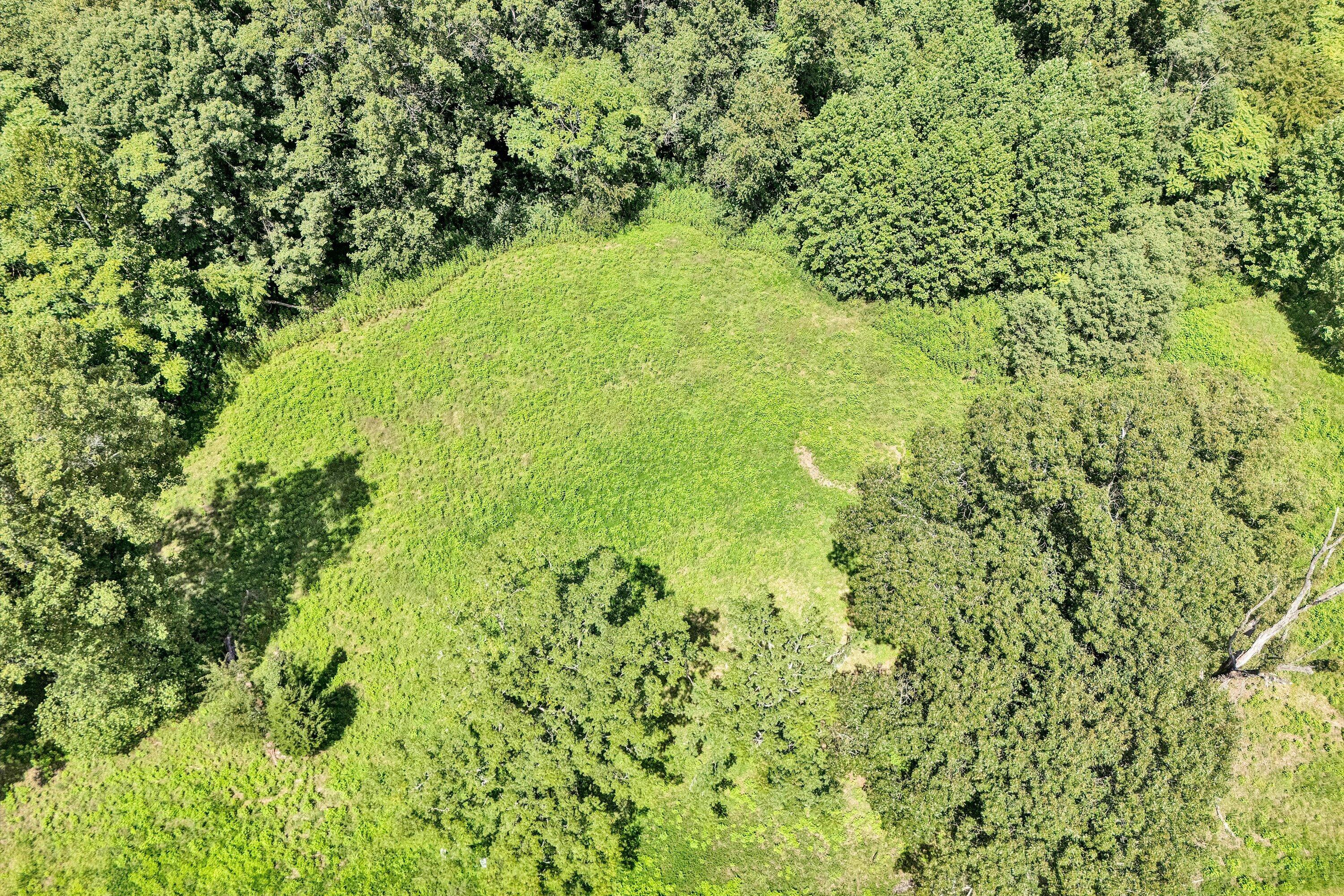 Image 2: 07-Lot 7 Aerial View