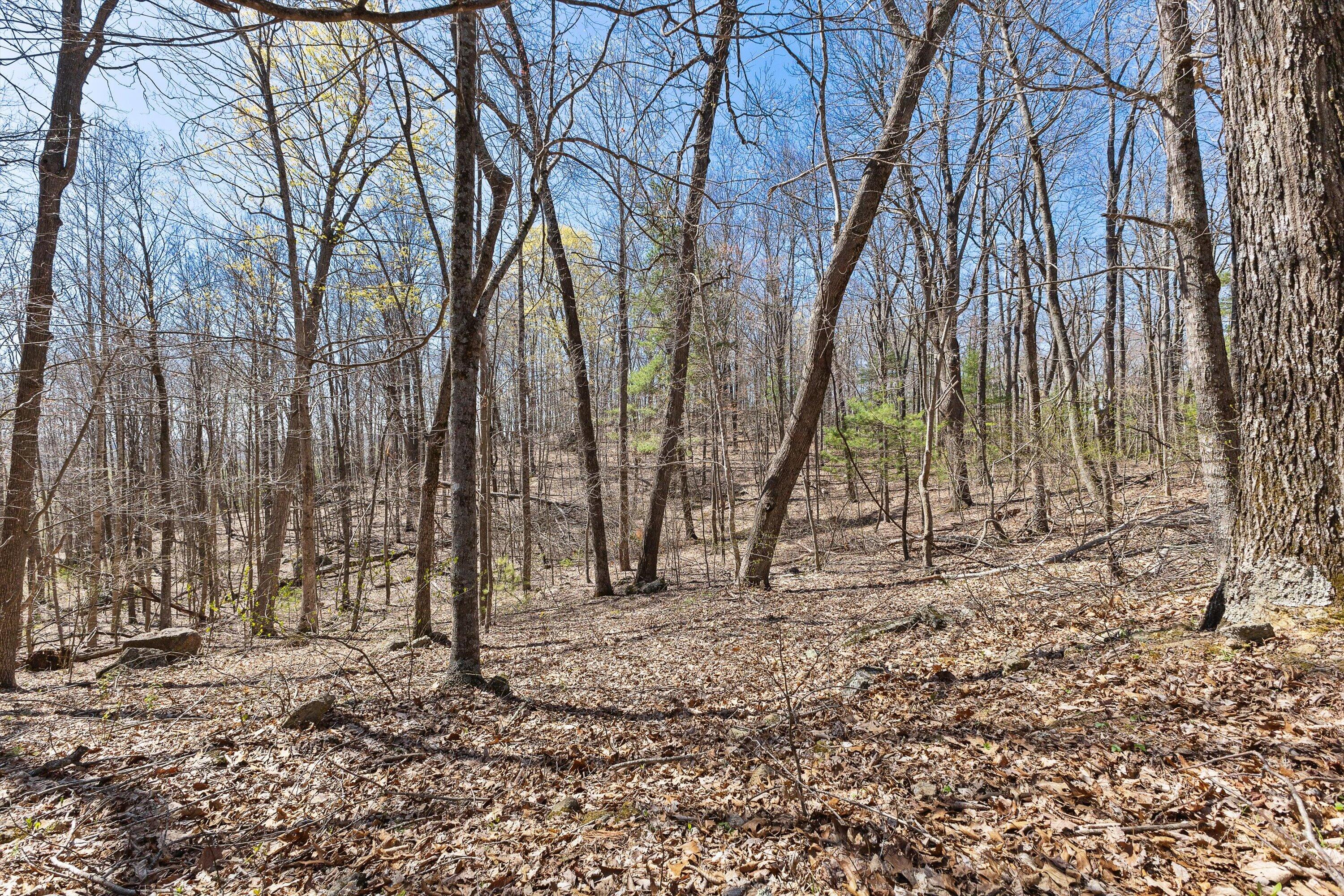 Image 3: 03-0 Mountainside Trail NE_02