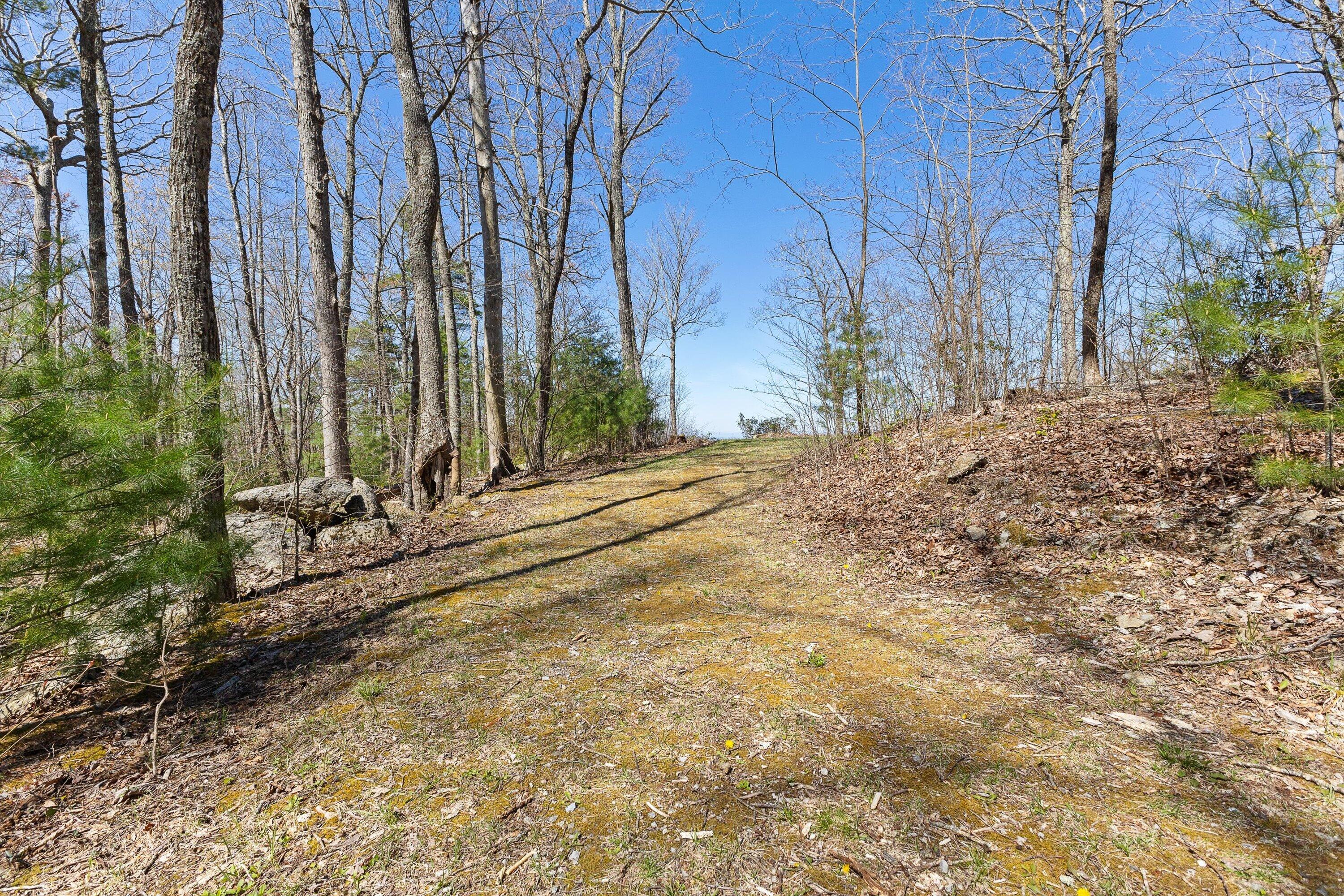 Image 4: 04-0 Mountainside Trail NE_03