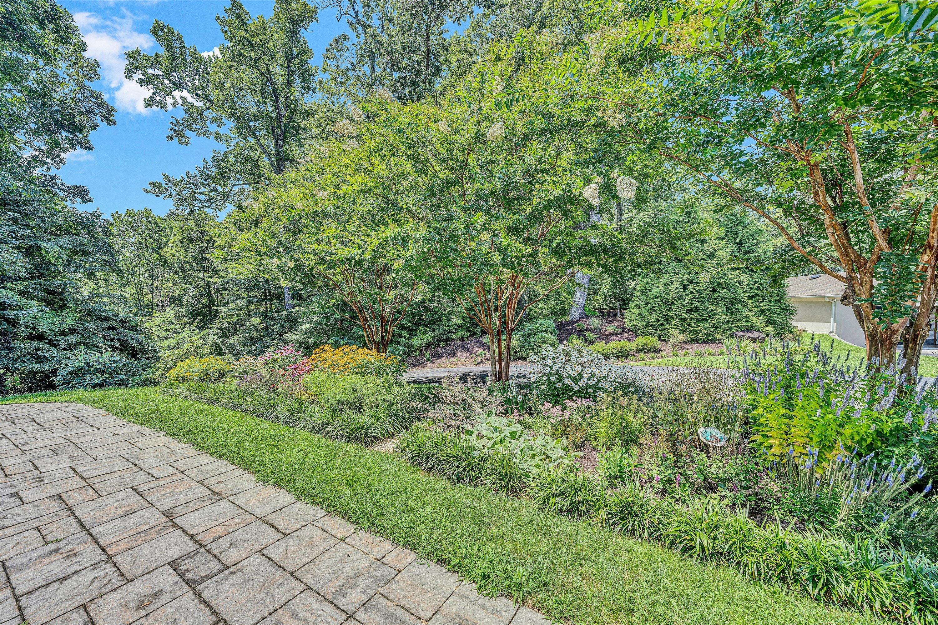 Image 4: 05-DSC00730