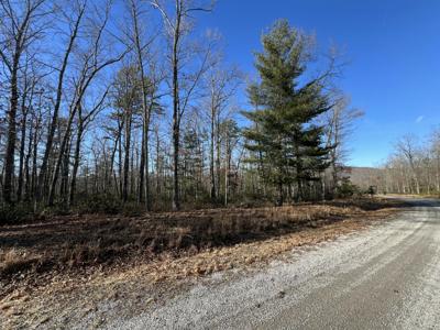 Lot 52 Black Diamond DR