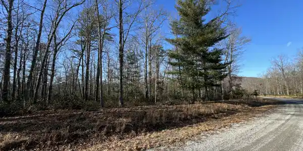 Lot 52 Black Diamond DR