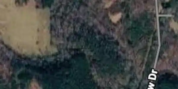 Image 4: Picture2