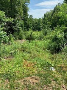 Lot #7 Hollyfield RD
