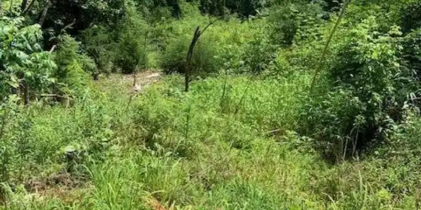 Lot #7 Hollyfield RD