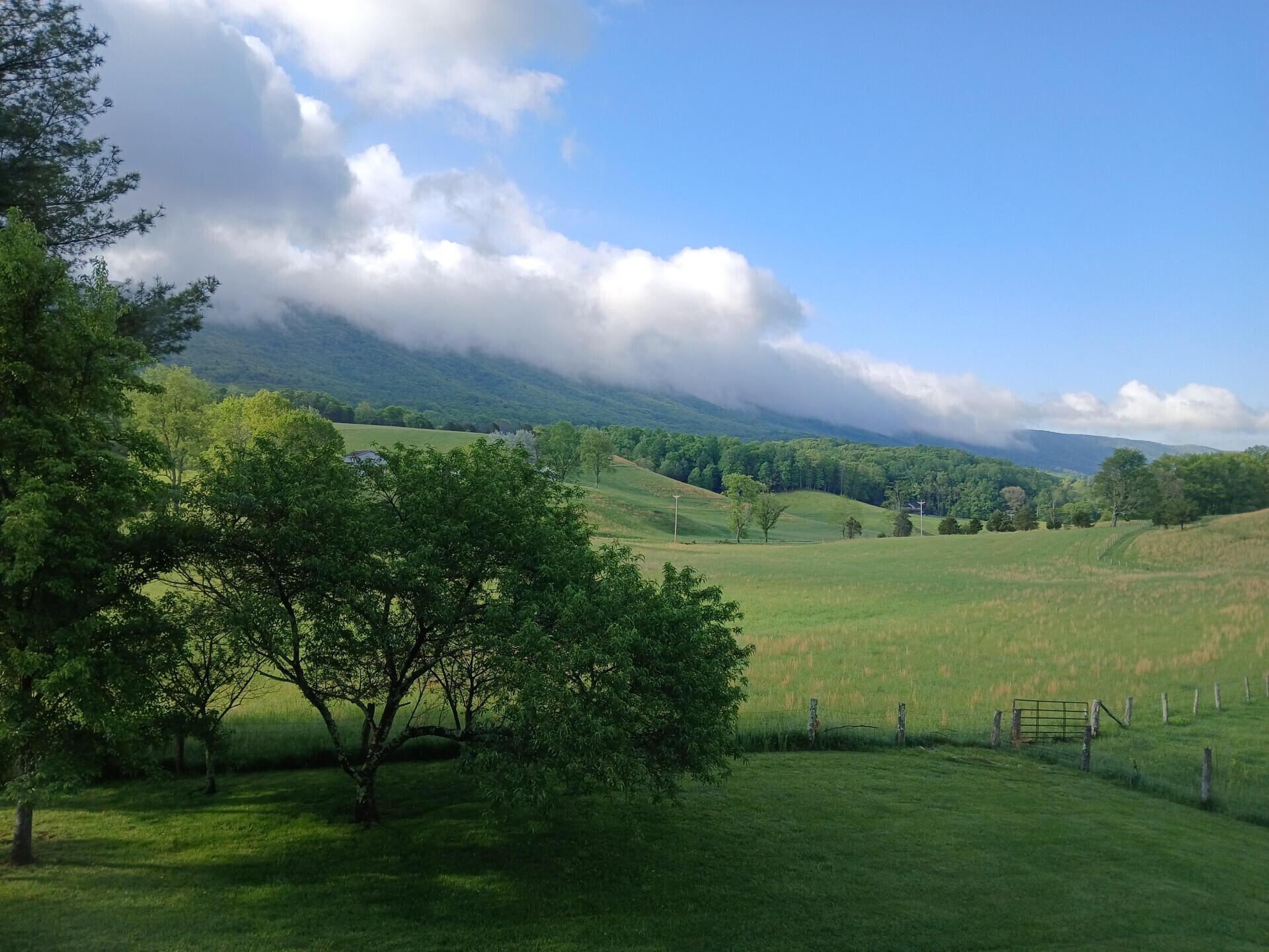 Image 3: 5110RichPatchRd_62624_3